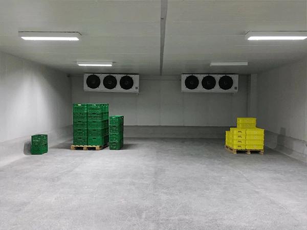 Cold Store